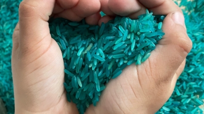 Senorikspiel mit Reis